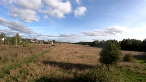 Flying on an fpv drone in a green field, against the background of a forest Stock Footage 166840103
