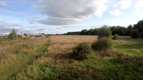 Flying on an fpv drone in a green field, against the background of a forest Stock Footage 166841265