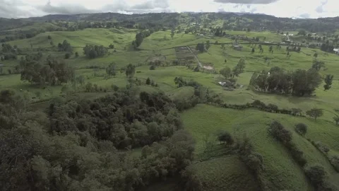 Flying free over the field Stock Footage 219832821