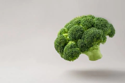 Flying fresh broccoli on a gray background. Stock Photos