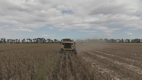 Flying In Front Of Combine Harvester In Corn Field Stock Footage 317405421
