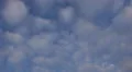 Flying geese in formation zoom-in HD Footage