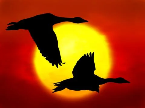 Flying geese Stock Illustration