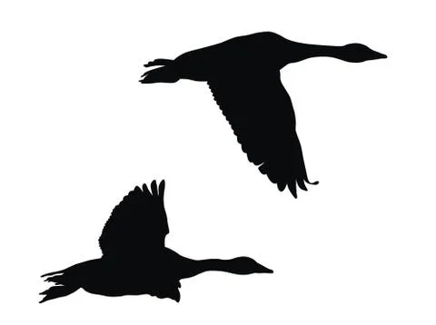 Flying geese Stock Illustration