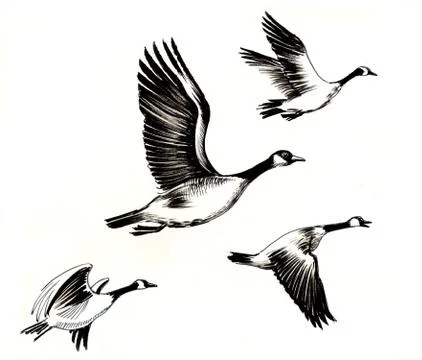 Flying geese Illustrazione stock