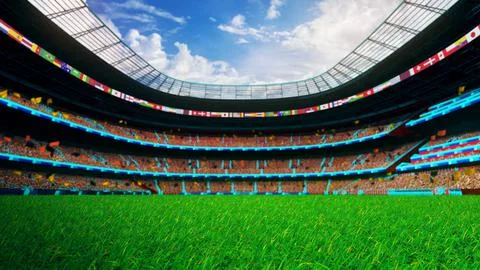 Flying On Grass In Stadium 01 Stock Illustration