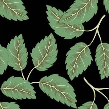 Flying green leaves on dark background. Fresh spring foliage. Vector illustra Stock Illustration