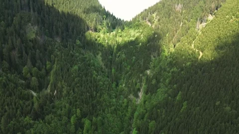 Flying in the green mountains Stock Footage 246712484
