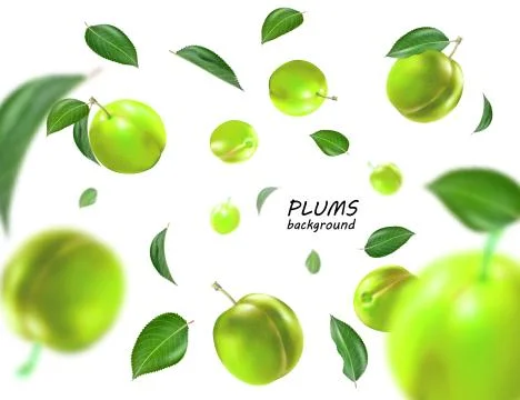 Flying green plums background. Realistic quality vector. Eps10. Stock Illustration
