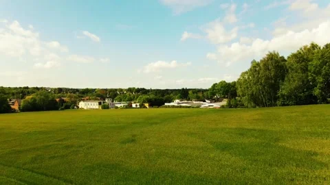 Flying on a green wheat field. Stock Footage 131535548