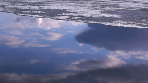 Flying gulls reflecting from water surface at melting lake in spring Stock Footage 82212831