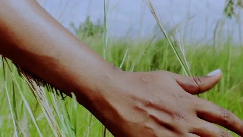 Flying hand Stock Footage 162779543