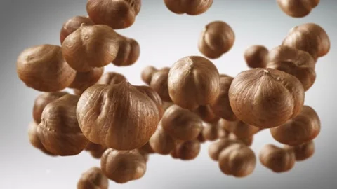 Flying of Hazelnuts in Dark Grey Background Stock Footage 145583638
