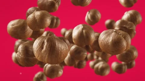 Flying of Hazelnuts in Fuchsia Background Stock Footage 145584066