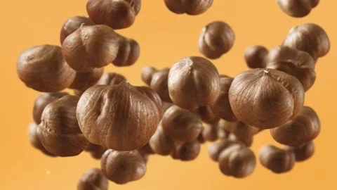 Flying of Hazelnuts in Pale Orange Background Stock Footage 145583963