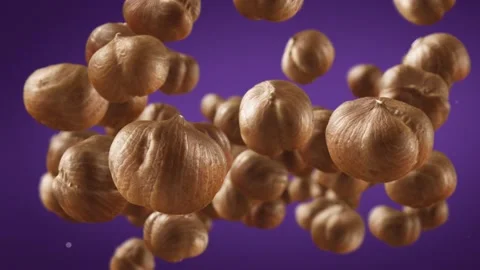 Flying of Hazelnuts in Purple Background Stock Footage 145584122