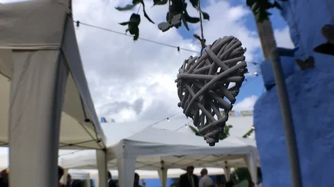 FLYING HEART Stock Footage 102106776