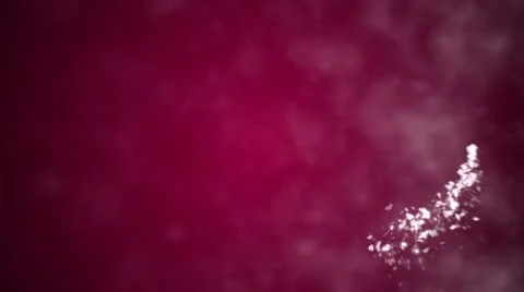 Flying hearts and particles Stock Footage 20449531