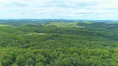Flying high above with a drone moving backward with a drone Stock-Footage 170405081