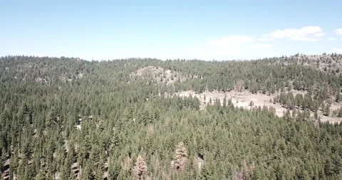 Flying High Above Eastern Sierra Nevada Mountains Inyo National Forest Stock Footage 219581420