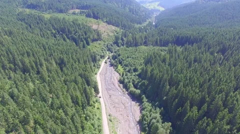 Flying high above the forest road Stock Footage 67384688