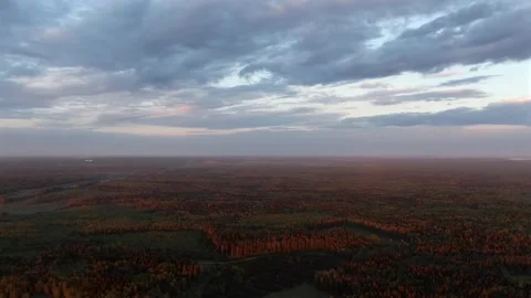 Flying at high altitude above the forest in the rays of the setting sun Stock Footage 131069671