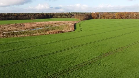 Flying High Drone View Forrest and Field Stock Footage 203792887