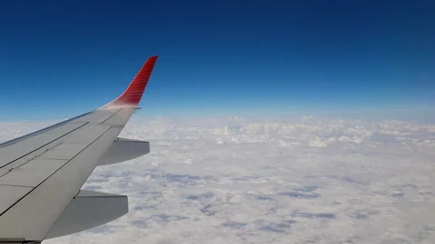 Flying high 動画素材 156197513