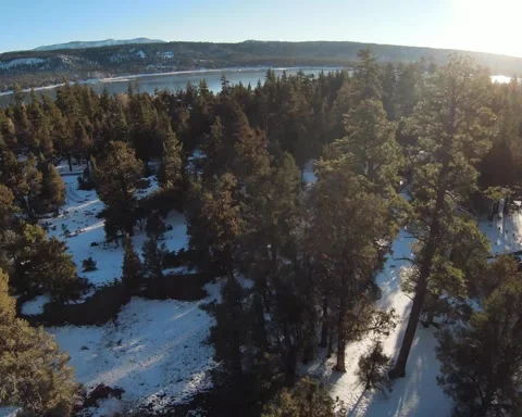 Flying High Stock Footage 221044467