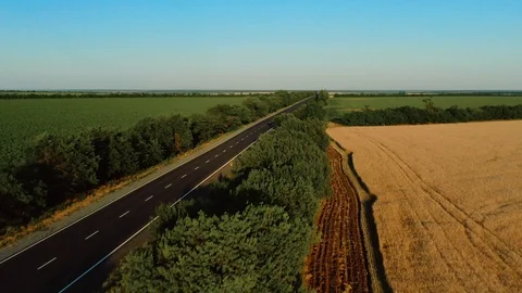 Flying high over the asphalt road among the fields. Stock Footage 123222886