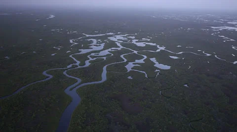 Flying High Over Everglades Vídeos de archivo 26245258