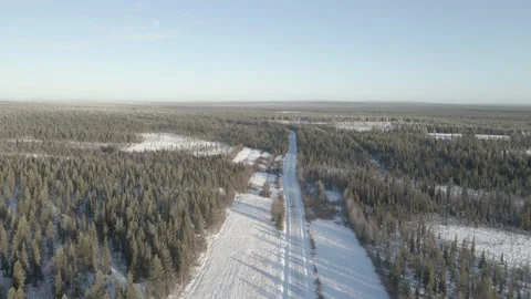 Flying High Over Ground And Following Car Driving Lonley On Forest Road Stock Footage 222995795
