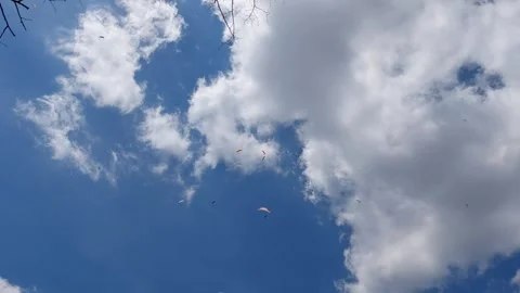 Flying High with a Paraglider 스톡 동영상 337191695