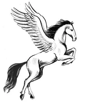 Pegasus - flying by Ninetales4Ever on deviantART | Horse coloring pages,  Pegasus drawing, Outline drawings