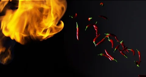 Flying Hot Chillis 動画素材 99520204