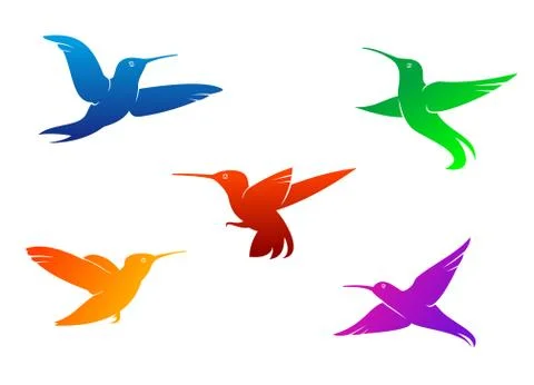 Flying hummingbirds イラスト素材