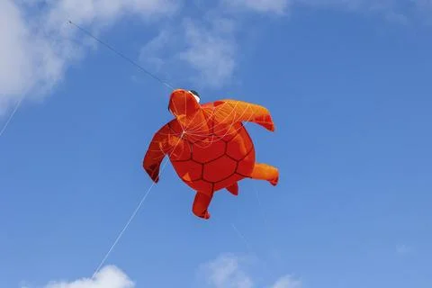 Flying inflatable orange turtle kite with stabilizing fish tail and blue lift Stock Photos
