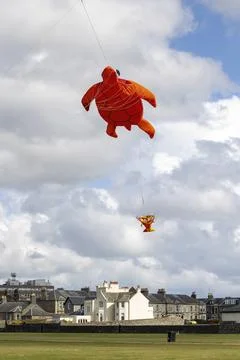 Flying inflatable orange turtle kite with stabilizing fish tail and blue lift Stock Photos