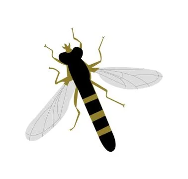 Flying insect Stock Illustration
