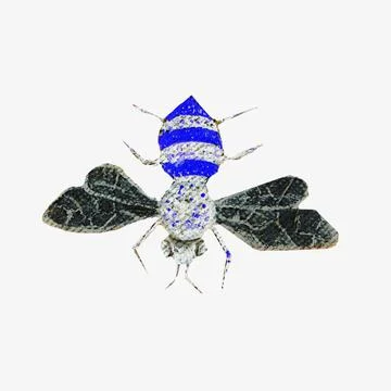 A flying insect Stock Illustration
