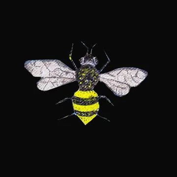 Flying insect Stock Illustration
