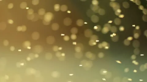 Flying insects. Sunset backlight. Stock Footage 22322534
