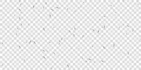 Flying insects on transparent background, scattered bugs Stock Illustration