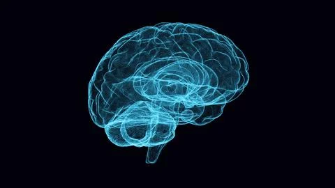 Flying inside Artificial Intelligence Digital Brain bid Data 4k. Illustration Stock Illustration