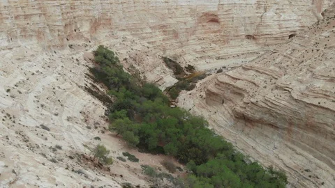 Flying inside the canyon. Stock Footage 106620650