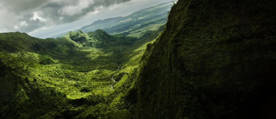 Flying inside the wildness Stock Photos