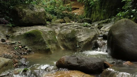 Flying just above a small stream in the tropics showing the dark water Video stock 142752650