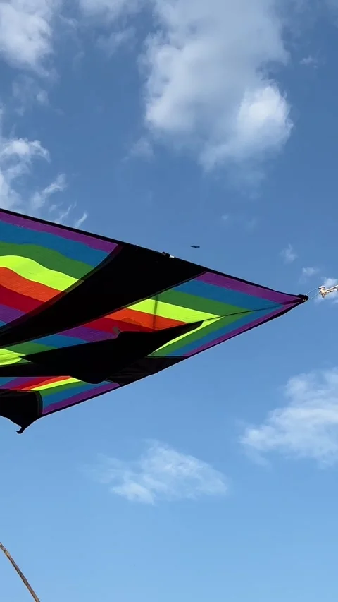 Flying kite against background blue sky at sunset on sunny day in summer. City Stock Footage 281942737