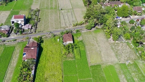 A Flying Kite and Falling Down Kite Stock Footage 247000548