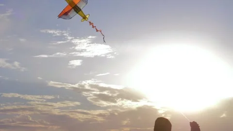 Flying kite on the background of the sky at sunset on a sunny day. A happy Video stock 162881927